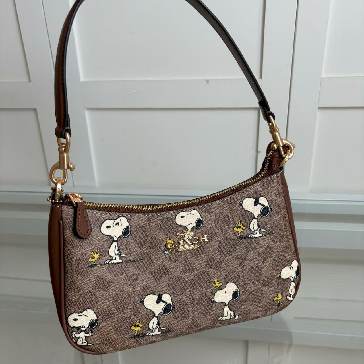 Coach Signature Canvas Tote Bag – Beige Monogram 🤎